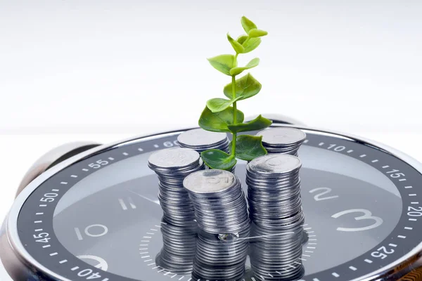 coins with plant and clock, isolated on white background.