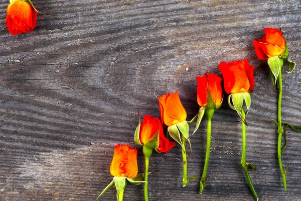 木制木板上的红玫瑰，情人节背景. — 图库照片