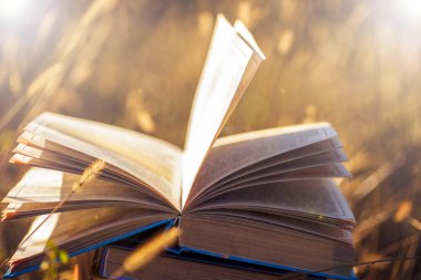 Doğal arka planda tahta masa üzerine açık bir kitap. Yumuşak odak