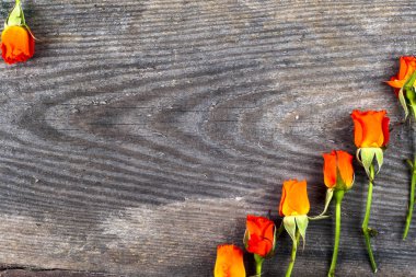 Tahtada kırmızı güller, Sevgililer Günü arkaplanı..