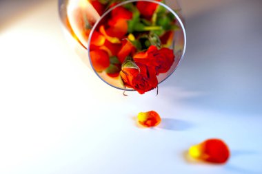 Cam vazoda kırmızı gül yaprakları ile dolu. Aromaterapi kavramı.