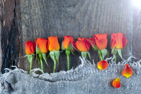 Rosas rojas sobre tabla de madera, fondo del día de San Valentín. — Foto de Stock