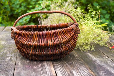 Alternatif ilaç. Kekik ve tıbbi ampuller. Gerekli yağlar