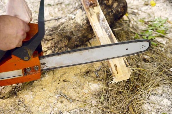 Elektrikli testereyle odun kesiyor..