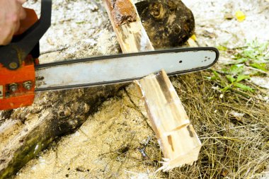 Elektrikli testereyle odun kesiyor..