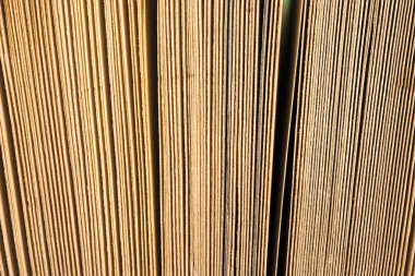 Açık kitap, ciltli bookson parlak renkli arka plan.