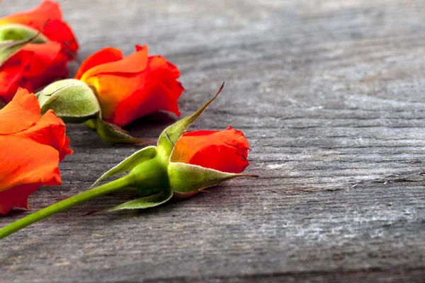 Red roses on wooden board, Valentines Day background. — Stock Photo, Image