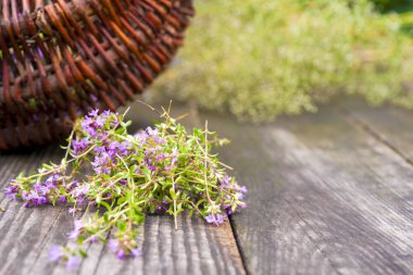 Alternatif ilaç. Kekik ve tıbbi ampuller. Gerekli yağlar