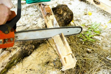 Elektrikli testereyle odun kesiyor..
