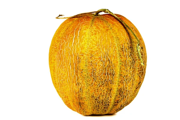 Beyaz kırpma yolu üzerinde izole kavun