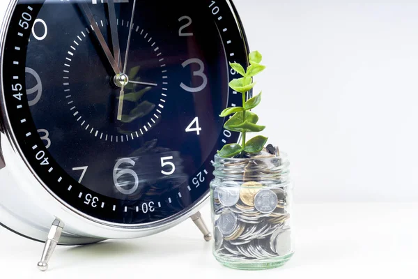 Monety z rośliną i zegarem, izolowane na białym tle. koncepcja oszczędności — Zdjęcie stockowe