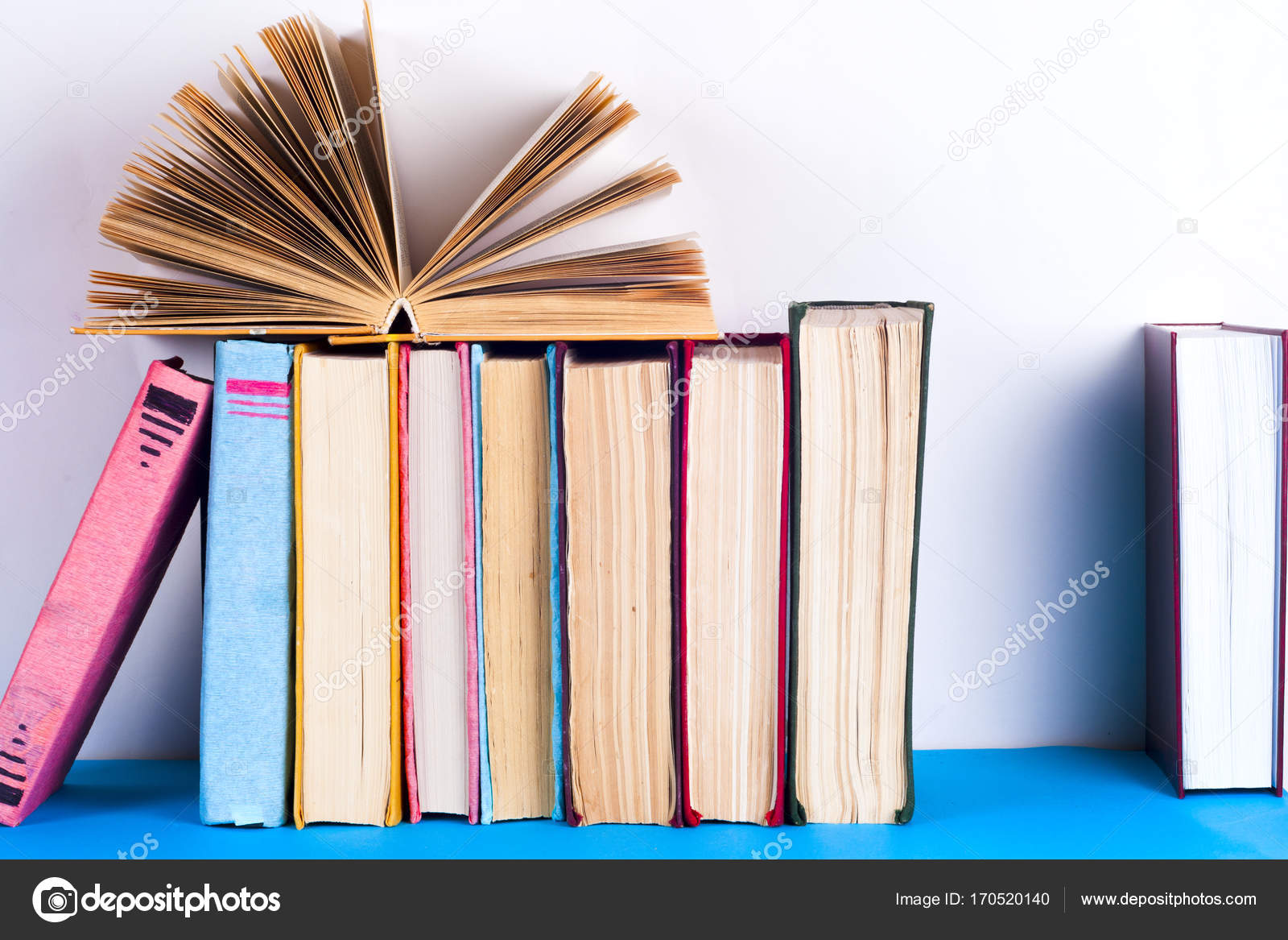 LIBRO CARTONATI SCARICARE