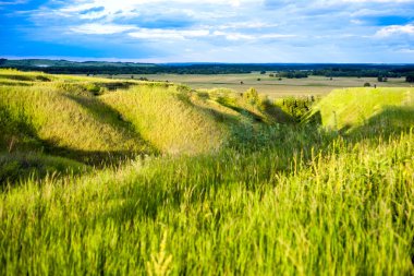 Sabahın erken saatlerinde su damlaları ile taze, kalın çimlere yakın.