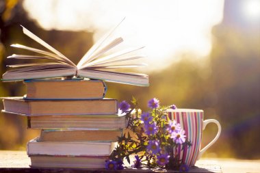 Doğal arka planda tahta masa üzerine açık bir kitap. Yumuşak odak