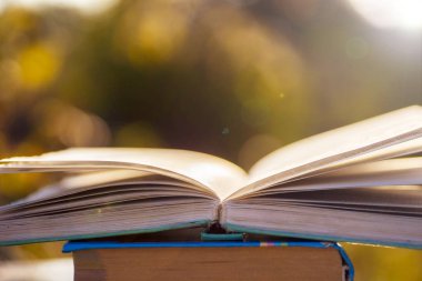 Doğal arka planda tahta masa üzerine açık bir kitap. Yumuşak odak