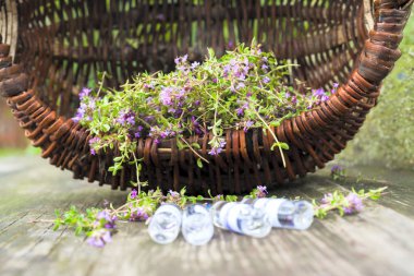 Alternatif ilaç. Kekik ve tıbbi ampuller. Gerekli yağlar