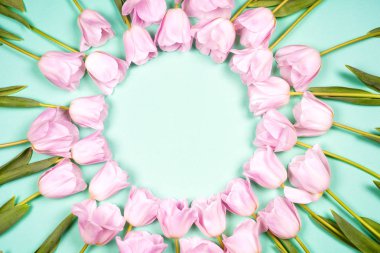 bahar çiçekleri banner - Pembe Lale çiçek mavi gökyüzü arka plan üzerinde grup.