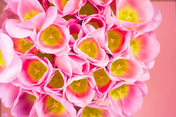 春の花のバナー-ピンクのチューリップの花の束明るい色の背景. — ストック写真