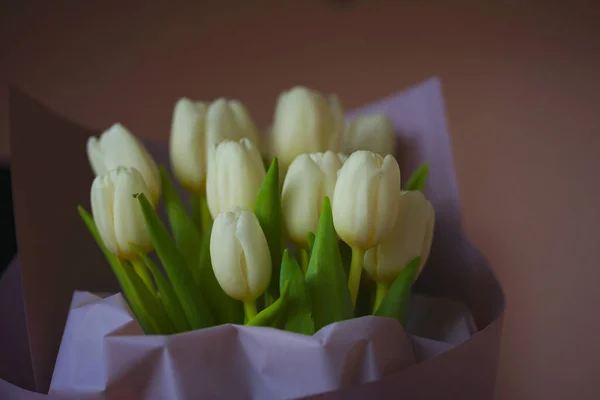 spring flowers banner - bunch of white tulip flowers on bright colorful background. spring flowers