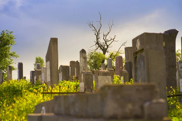 Starý židovský hřbitov na barevné obloze západu slunce, Černovice Ukrajina. — Stock fotografie