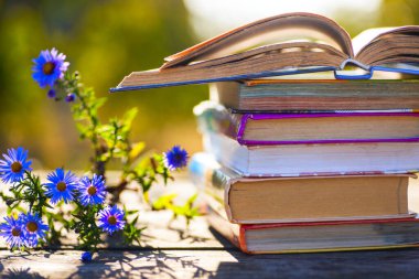 Doğal arka planda tahta masa üzerine açık bir kitap. Yumuşak odak