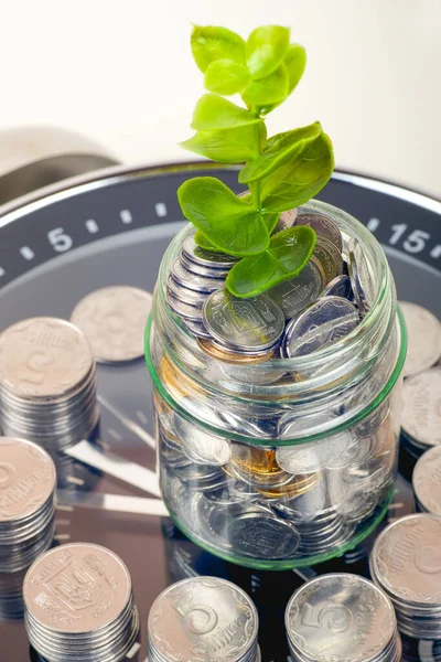 Monedas con planta y reloj, aisladas sobre fondo blanco. concepto de ahorro — Foto de Stock