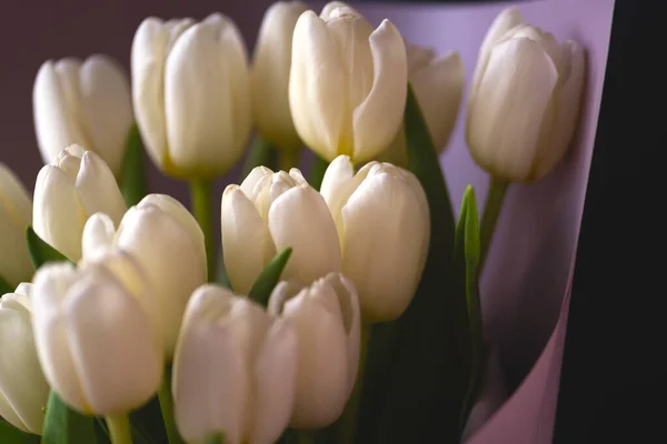 spring flowers banner - bunch of white tulip flowers on bright colorful background. spring flowers