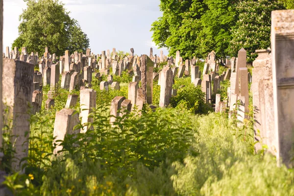 Starý židovský hřbitov na barevné obloze západu slunce, Černovice Ukrajina. — Stock fotografie