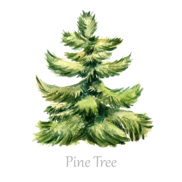 Sulu Boya Noel ağacı.