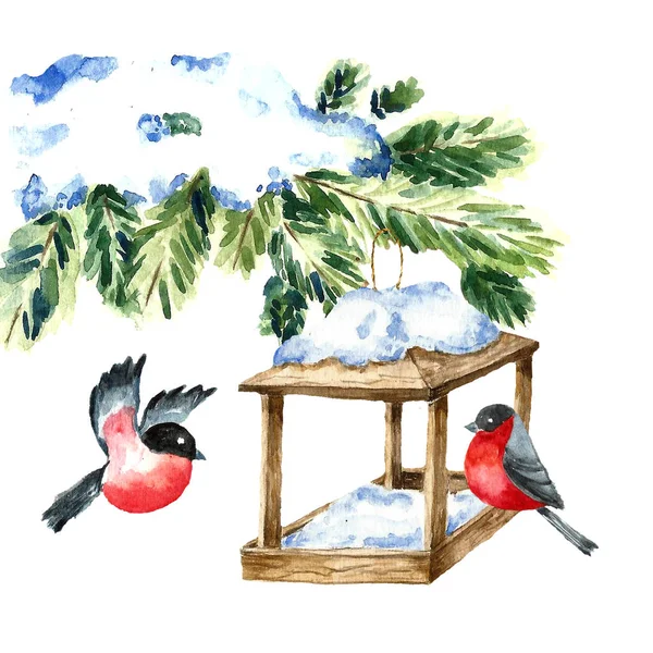 Watercolor Bullfinch em branco. Desenho de um pássaro com galho de inverno e caixa de nidificação. Símbolo de Natal. Estilo vintage — Vetor de Stock