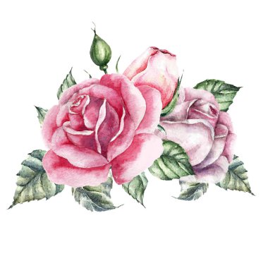 Gül öğe kümesi. Suluboya düğün kartı.