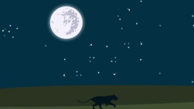 Büyülü bir gece boyunca Afrika'da çalışan aslan
