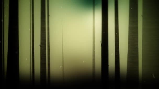 Красиві світиться феї політ у чарівному лісі — стокове відео