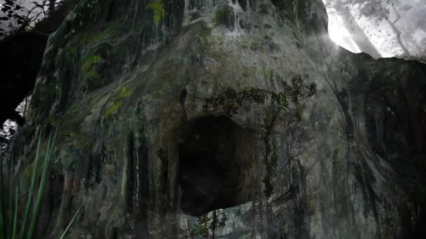 Eine gruselige Höhle in einem Regenwald voller Mücken und fliegender Insekten — Stockvideo