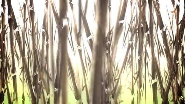 Dramatic Bamboo Field Animation — Stock Video