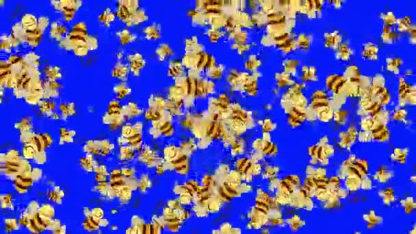 Essaim de jolies abeilles de bande dessinée volant autour sur un écran bleu — Video