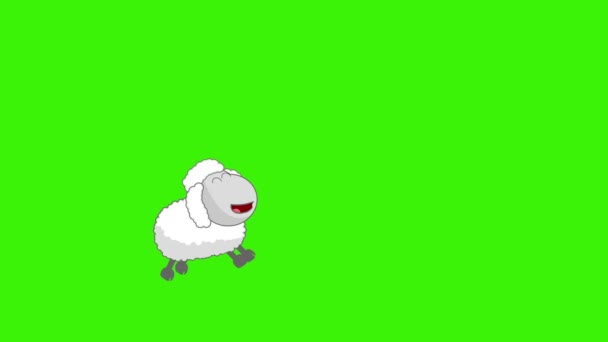 Compter les moutons sur un fond d'écran vert — Video