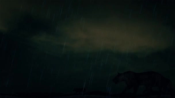 Pacote de Leões Femininos Andando Sob Uma Tempestade Relâmpago — Vídeo de Stock