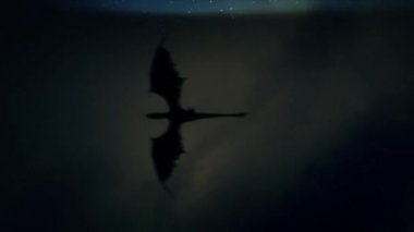 Fırtınalı gece gökyüzü geçiş Dragon
