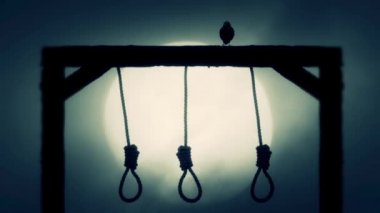 Ahşabın bir dolunay ürkütücü gece kuzgun ile darağacında asılı