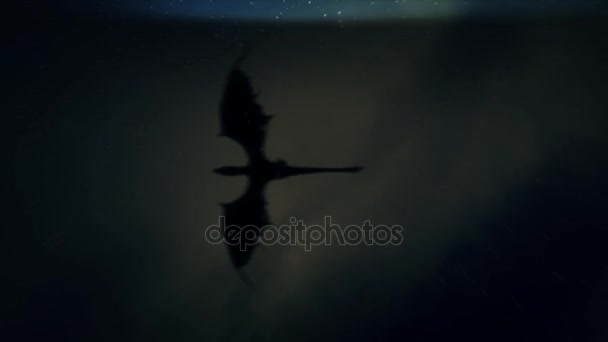 Dragon traversant un ciel nocturne orageux 