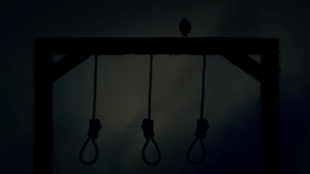 绳套吊在绞刑架上，一只乌鸦在中东的一场风暴 — 图库视频影像