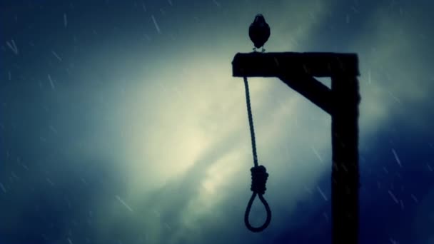 乌鸦站在绞刑架上，摆动的绞索套在雨中 — 图库视频影像