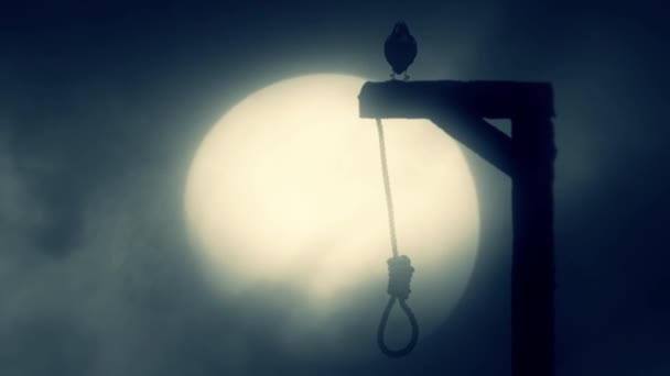 Nooses Hanging on the Gallows with a Raven on a Misty Full Moon Spooky Night — Stock Video