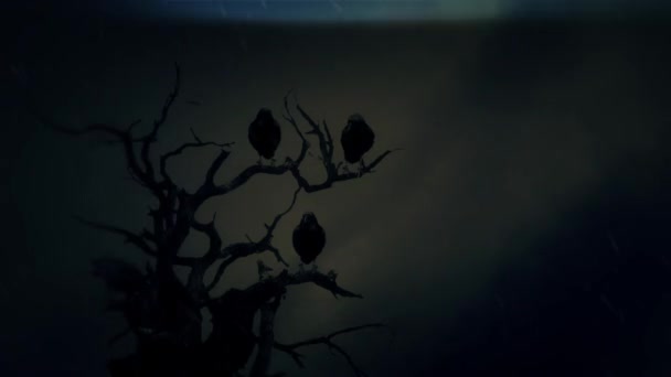 Schwarze Raben stehen auf einem toten Baum inmitten eines Sturms — Stockvideo