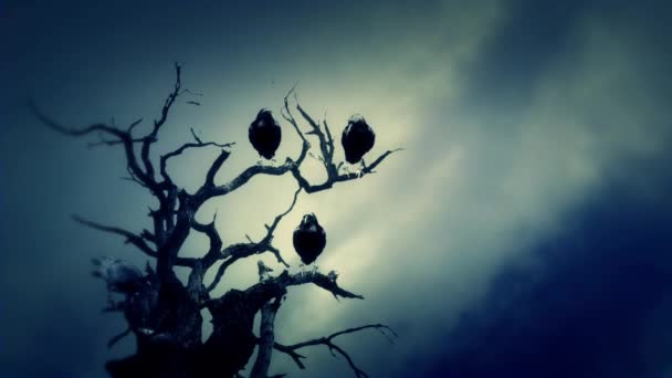 Schwarze Raben stehen an einem bewölkten Tag auf einem toten Baum — Stockvideo