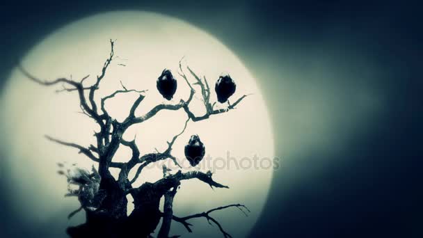 Fekete hollók ülősarokkal, egy halott fa a teljes Hold éjszaka — Stock videók