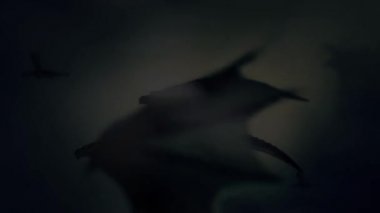 Rüzgara karşı gökyüzünde uçan ejderha