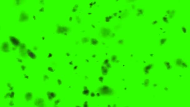 Fumée noire sombre Spin et Scatter comme un sort magique sombre sur un fond d'écran vert — Video