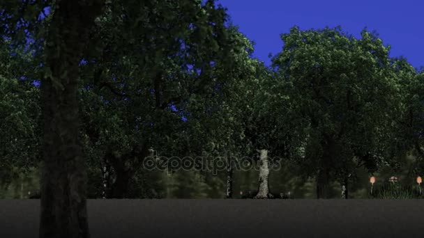 Mavi ekran arka plan üzerinde büyülü bir orman — Stok video